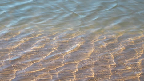 Shallow-tropical-coastal-water-with-ripples-and-sunlight-shining,-static-view