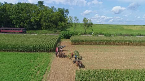 An-Aerial-Side-View-of-Amish-Harvesting-There-Corn-Using-Six-Horses-and-Three-Men-as-Done-Years-Ago-With-a-Steam-Passenger-Train-Passing-on-a-Sunny-Fall-Day