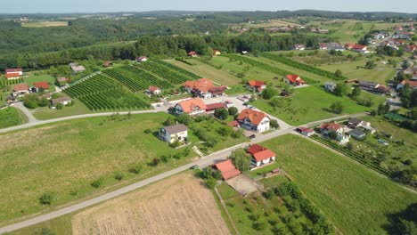 Aerial-landscape,-beautiful-green-hills-of-vineyards