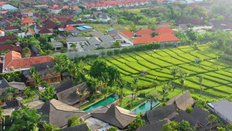 Villa-De-Lujo-Con-Piscina-Infinita-Y-Vistas-A-La-Terraza-De-Arroz-Verde-En-Bali,-Indonesia,-Antena