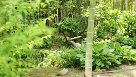 Fuente-De-Agua-De-Bambú-Shishi-odoshi-Y-Fondo-De-Jardín-Zen