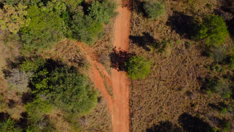 Vista-Aérea-De-Arriba-Hacia-Abajo-De-Dos-Cebras-Caminando-Por-Un-Camino-Rural-En-África