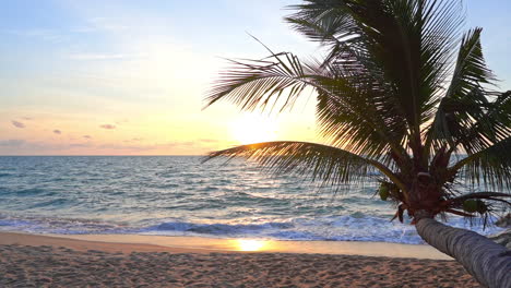 Golden-sunset-over-sea-with-coconut-palm-tree-bent-over-sand-beach---slow-motion