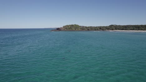 Große-Tümmler-Schwimmen-An-Der-Küste-Von-Fingal-Head-In-New-South-Wales,-Australien