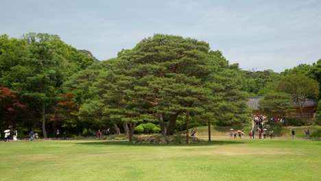 Koreaner-Reisen-Im-Präsidentenpark-Im-Blauen-Haus-Von-Cheong-Wa-Dae,-Nachdem-Dieser-Vollständig-Für-Die-Öffentlichkeit-Zugänglich-War