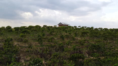 Rural-little-shelter-house-construction-on-top-of-coffee-plantation-hill-in-Southeast-Asia