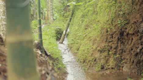 Shot-of-a-small-stream-of-water-running-in-a-farm