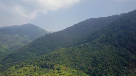 Luftaufnahme-Einer-üppigen-Grünen-Landschaft-Auf-Hügeln-In-Thailand---Kameraverfolgung