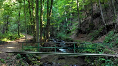 Aerial-flight-over-bridge-crossing-Mountain-river-with-rocks-and-boulders-in-forest,-Bistriski-Vintgar-gorge-on-Pohorje-mountain,-Slovenia,-hiking-and-outdoor-tourism-landmark,-dolly-shot-4k