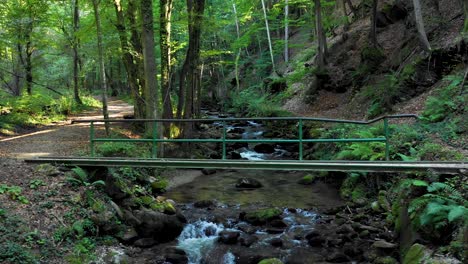 Gebirgsfluss,-Der-über-Felsen-Und-Felsbrocken-Im-Wald-Fließt,-Schlucht-Bistriski-Vintgar-Auf-Dem-Berg-Pohorje,-Slowenien,-Wahrzeichen-Des-Wander--Und-Outdoor-Tourismus,-Konzept-Für-Sauberes-Wasser,-Natürliche-Ressourcen,-4K-Pfanne