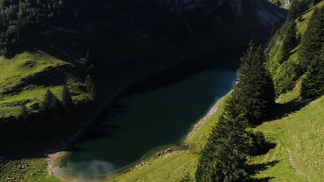 Vista-Aérea-Del-Lago-De-Montaña-En-Los-Alpes-Suizos-Durante-El-Día-Soleado-De-Verano-Con-Pinos,-Aplstein-Suiza