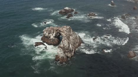 Birds-sitting-on-Arched-Rock-on-the-ocean-with-waves-crashing-near-the-Beach-Bodega-Bay-Highway-1-in-Northern-California
