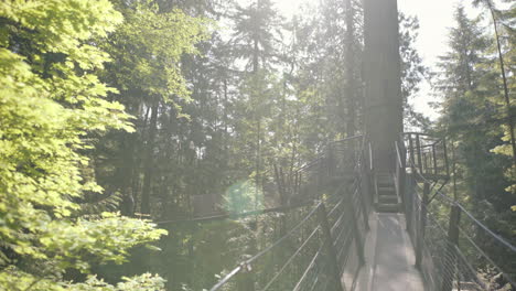 Walking-on-beautiful-treetop-bridge-on-sunny-day,-flare