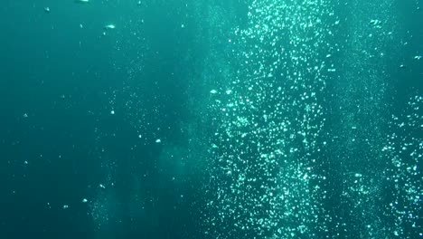 Scuba-divers'-bubbles-rise-from-below