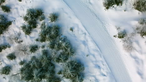 Aerial-view-of-snow-covered-hiking-trail,-people-walk-around,-a-cross-country-skiers-coming-in-the-scene,-Black-Forest,-Germany