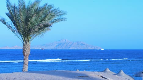 Vista-De-La-Isla-De-Tiran-En-El-Mar-Rojo-En-Sharm-El-Sheikh-En-La-Tarde-Soleada,-Palmera-En-Primer-Plano,-Plano-General