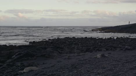Meeresschildkröten-Ruhen-Auf-Einem-Schwarzen-Sandstrand,-Während-Ein-Mann-Die-Küste-Entlang-Läuft