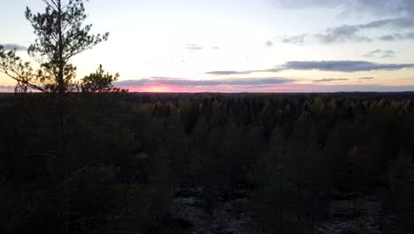 Aerial,-cinematic-drone-shot,-Lapland-ruska-fall-foliage-at-sunset