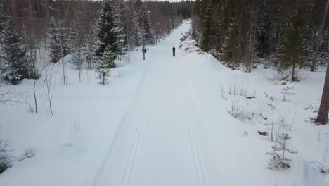 Aerial-tilt,-Drone-shot-following-cross-country-skier-in-action