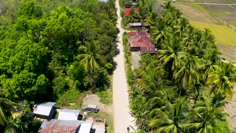 Slow-aerial-shot-of-road-flying-over-small-village-homes-next-to-golden-rice-fields-in-Bohol,-Philippines