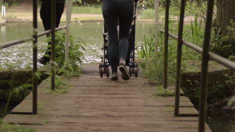 Family-wheeling-pram-across-bridge-at-lakeside