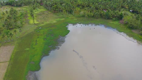 Aerial-view-across-group-of-men-adjusting-nets-in-tropical-lagoon-water