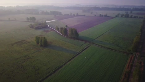 Malerische-Luftaufnahme-Eines-Grünen-Ackerlandes-In-Der-Polnischen-Landschaft