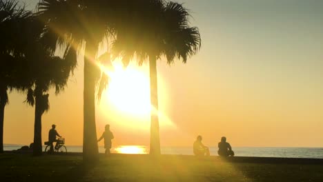 Time-Lapse-of-Palm-tree-and-people-near-the-beach