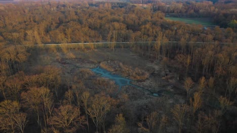 [Drohne]-Umlaufende-Aufnahme-Eines-Sumpfes-Im-Wald-Im-Frühling