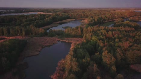 Luftaufnahme-Eines-Landschaftsparks-In-Polen,-Reicher-Wald-Und-Ausgedehnte-Seen,-Aus-Der-Vogelperspektive-Sichtbar