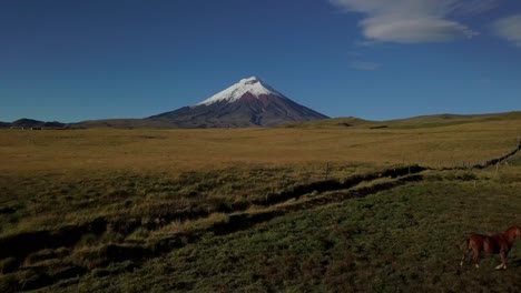 Drohne-Fliegt-über-Eine-Pferdebande-In-Richtung-Vulkan-Cotopaxi-In-Der-Nähe-Des-Cotopaxi-Nationalparks-In-Ecuador