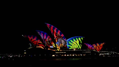 Sydney---Festival-De-Luces-Vívidas-4