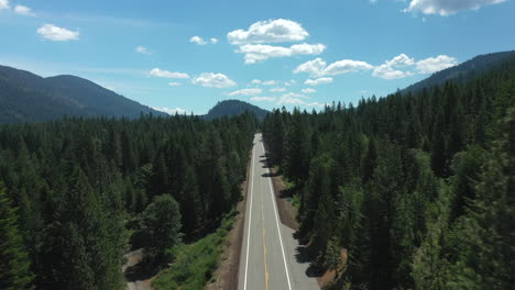 Aerial-flyover-of-a-car-driving-down-a-long-straight-county-highway-through-dense-evergreen-forests-in-Northern-California