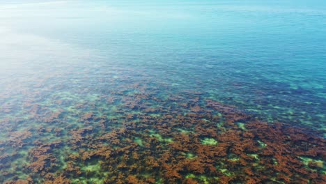 Wunderschöne-Korallenriffe-Und-Klippen-Wachsen-Gesund-Unter-Ruhigem,-Klarem-Wasser-Der-Türkisfarbenen-Lagune-Am-Ufer-Der-Tropischen-Insel-Thailand