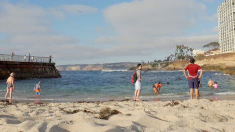 Lots-of-people-and-a-seagull-hanging-around-in-the-beach-during-the-day