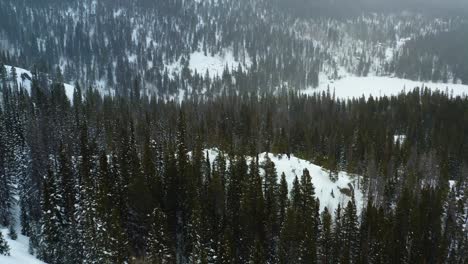 Aerial-forward-pan-down-shot-of-snowy-mountains-with-trees