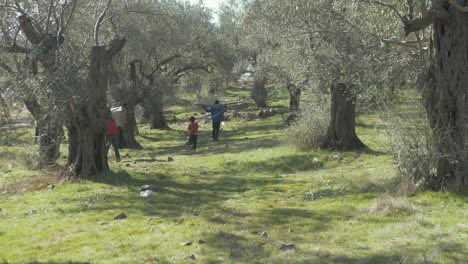 Los-Niños-Refugiados-Del-Campamento-De-Refugiados-De-Moria-&#39;jungle&#39;-Caminan-Con-Madera