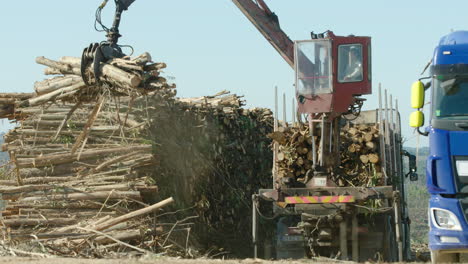 El-Operador-De-La-Grúa-Apila-Hábilmente-Madera-De-Eucalipto-En-Un-Camión