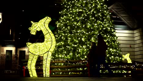 Leute,-Die-In-Zeitlupe-Vor-Der-Weihnachtslichterdekoration-Laufen