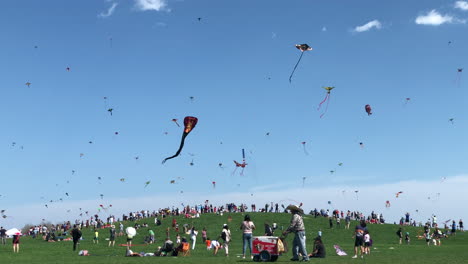 Niños-De-Todas-Las-Edades-Disfrutando-Del-Festival-De-Niños-Y-Cometas-En-Chicago-Con-Cientos-De-Cometas-Volando-En-El-Cielo