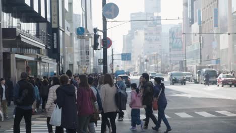 Fußgänger-überqueren-Die-Straße-Im-Stadtzentrum-Von-Tokio,-Japan