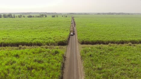 A-Cargo-Truck-Driving-On-The-Road-Between-Green-Meadows-On-A-Hot-Sunny-Day---aerial-drone