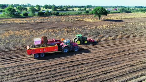 A-stunning-view-of-a-potato-harvester-working-the-field-on-a-beautiful-sunny-day