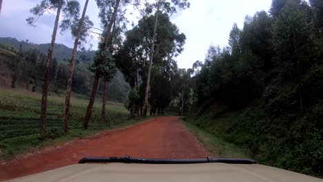 Hyperlapse-travelling-along-dangerous-narrow-dirt-road-in-Volcanoes-National-Park,-Africa