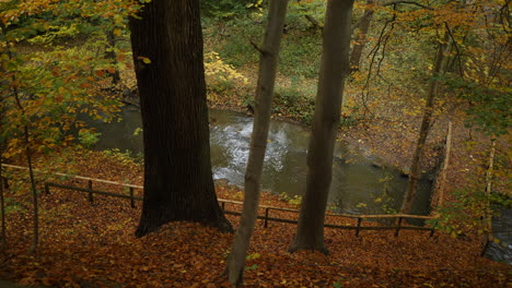 green-pond-in-the-autumn-forest