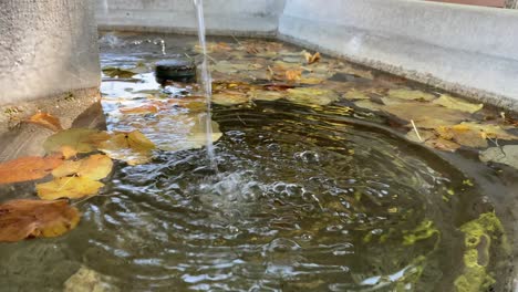 Spritzendes-Wasser-Aus-Einem-Brunnen-In-Der-Natur-Mit-Bunten-Blättern-Während-Des-Herbsttages