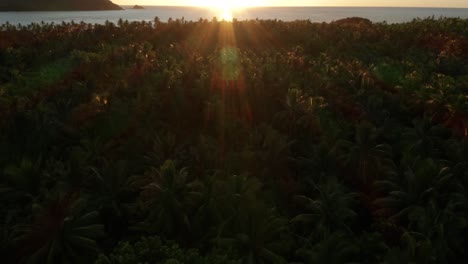 The-Lush-Green-Forest-Of-Coconut-Trees,-Stunning-Beach,-And-Mountain-Underneath-The-Bright-And-Glowing-Sunset-At-Fiji---Aerial-Shot