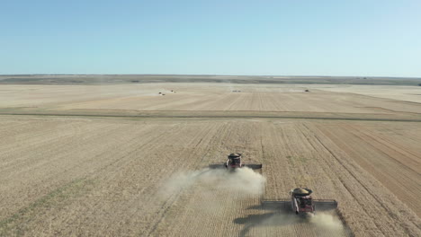 Two-Red-Combines-cutting-the-ripe-wheat-on-a-big-field-near-the-town-of-Swift-Current,-Saskatchewan--follow-aerial-shot