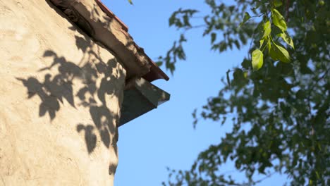 House-roof-corner-with-shadow-from-a-nearby-tree,-moving-with-the-wind-and-a-deep-blue-sky-in-the-background