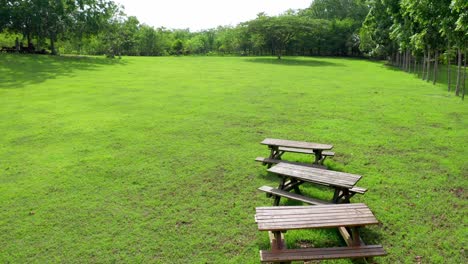 Low-level-flight-over-picnic-area-in-green-grassland,-Dominican-Republic